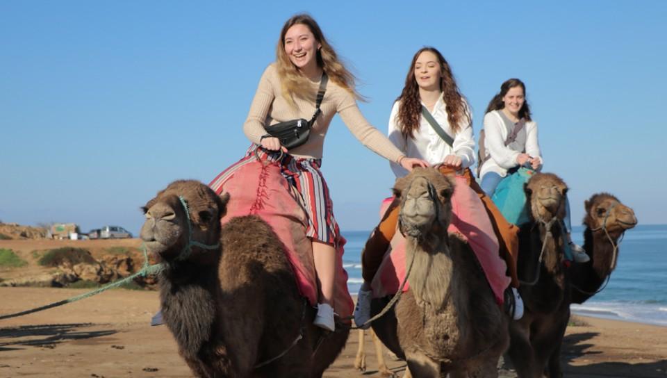 摩洛哥学生骑骆驼的照片